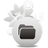 Κατηγορία - ΜΕΤΑΦΟΡΕΣ – ΜΕΤΑΚΟΜΙΣΕΙΣ